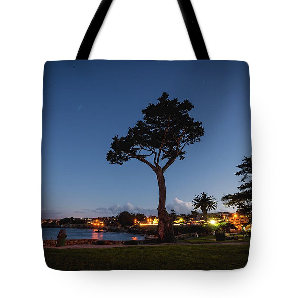Landscape Tote Bag featuring the photograph As Night Falls by Margaret Pitcher