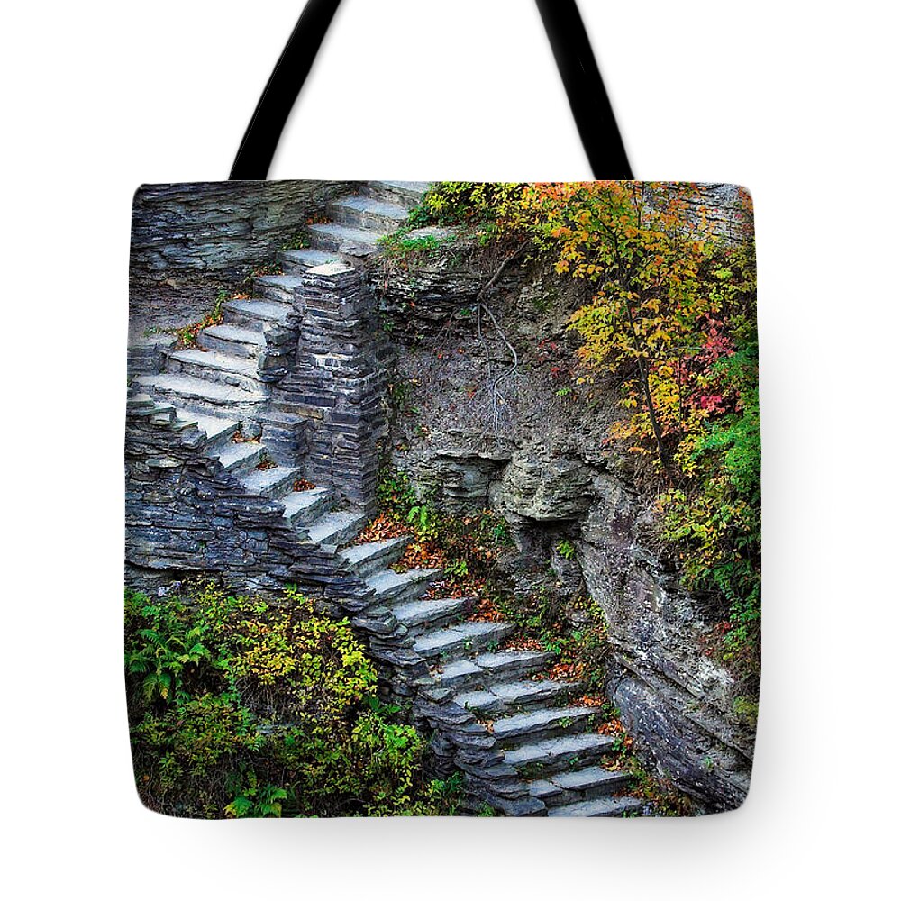 Fall Tote Bag featuring the photograph Ascent by Neil Shapiro