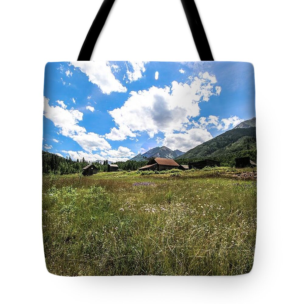 Ashcroft Ghost Town Tote Bag featuring the photograph Ashcroft Ghost Town Photo Five by Veronica Batterson