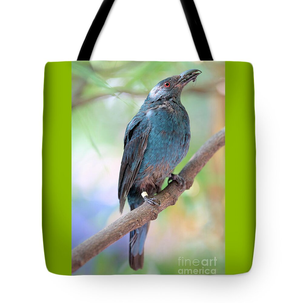Bird Tote Bag featuring the photograph Asian Fairy Bluebird by Baggieoldboy