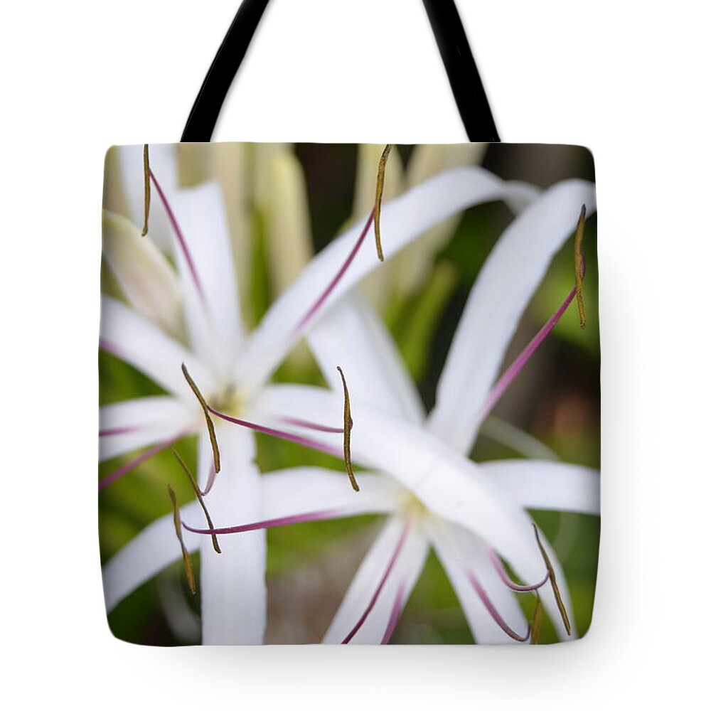 Kauai Tote Bag featuring the photograph Asiatic Poison Lily 2 by Amy Fose