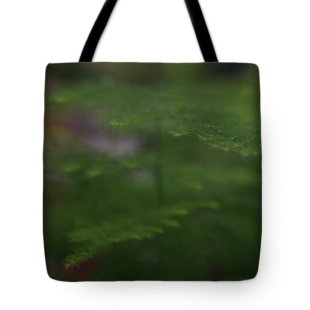 Asparagus Tote Bag featuring the photograph Asparagus Fern by Jimmy Chuck Smith