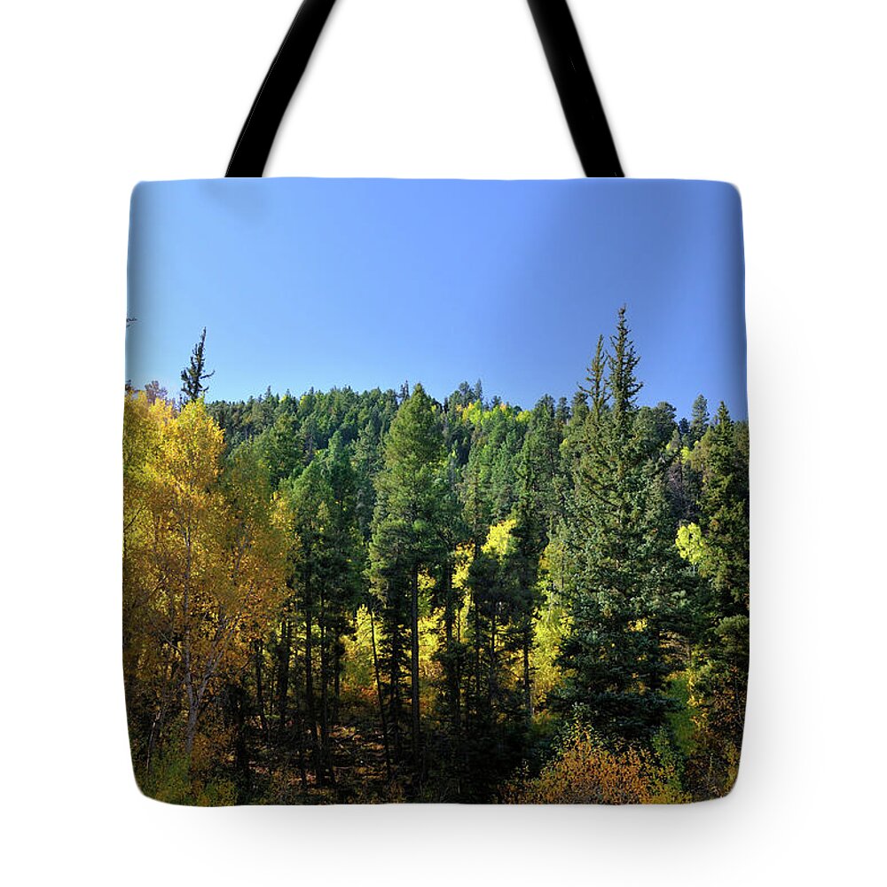 Landscape Tote Bag featuring the photograph Aspen And Cottonwood In Concert by Ron Cline