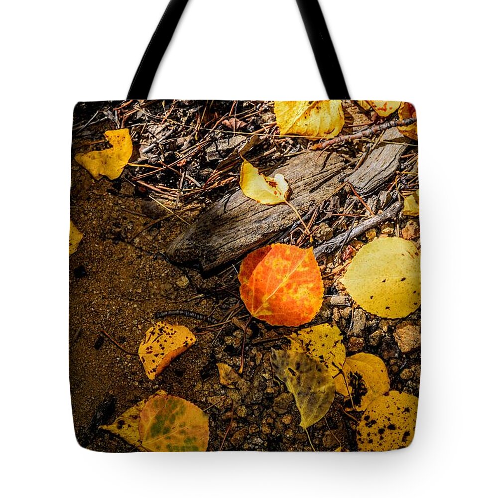 Apsen Leaf Tote Bag featuring the photograph Aspen Floor by Michael Brungardt