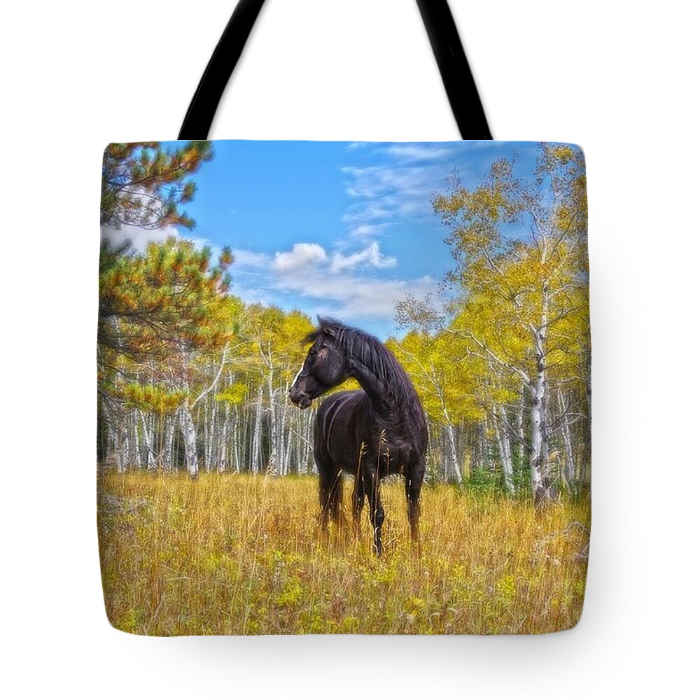 Aspen Tote Bag featuring the photograph Aspen Gold In Black And White by Amanda Smith
