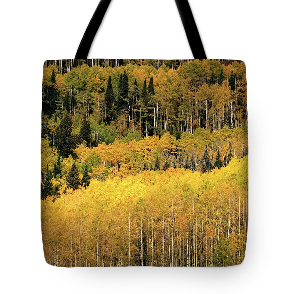 Colorado Tote Bag featuring the photograph Aspen Groves by Doug Sturgess