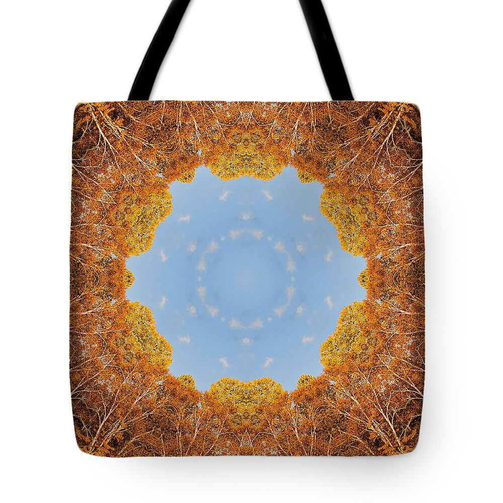 Fall Tote Bag featuring the photograph Aspen Kaleidoscope by Bill Barber