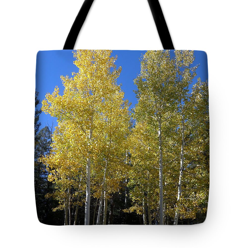 Flagstaff Tote Bag featuring the photograph Aspen Tree Twins by Mars Besso