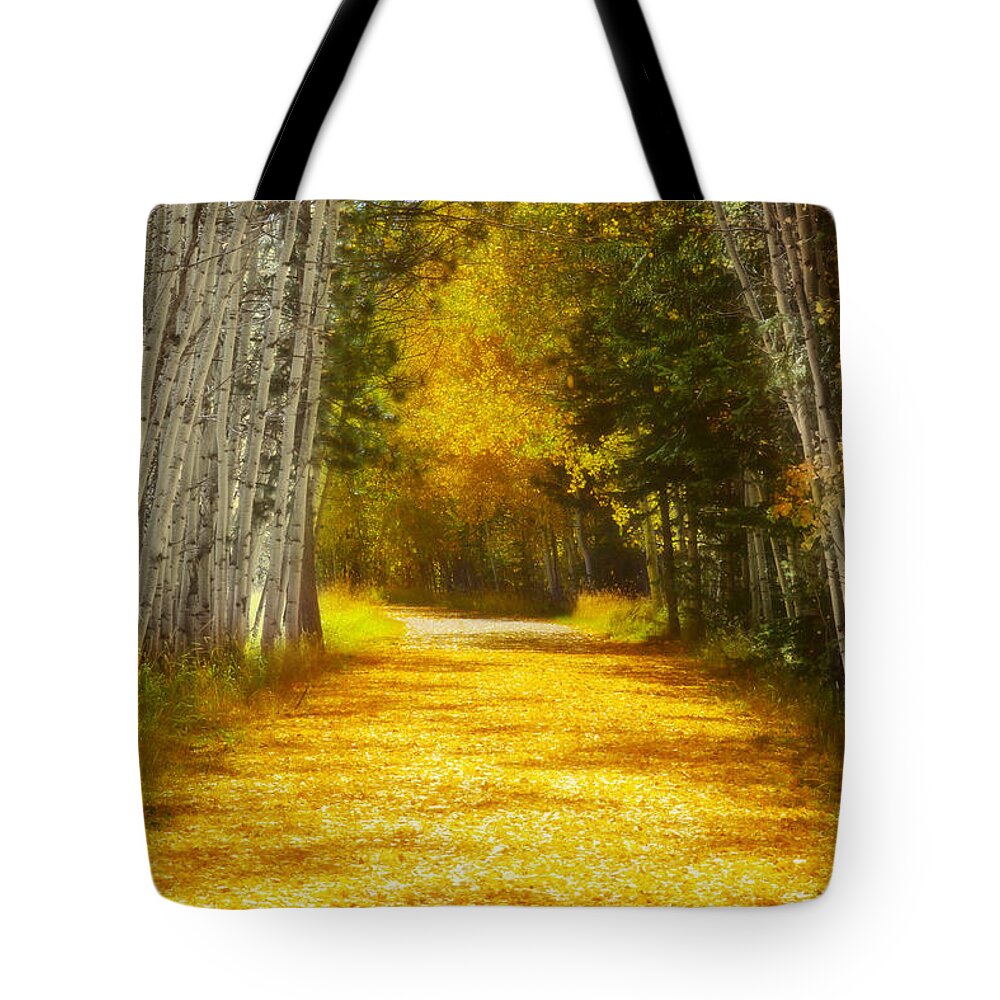 Aspens Tote Bag featuring the photograph Say You'll Follow Me by Amanda Smith