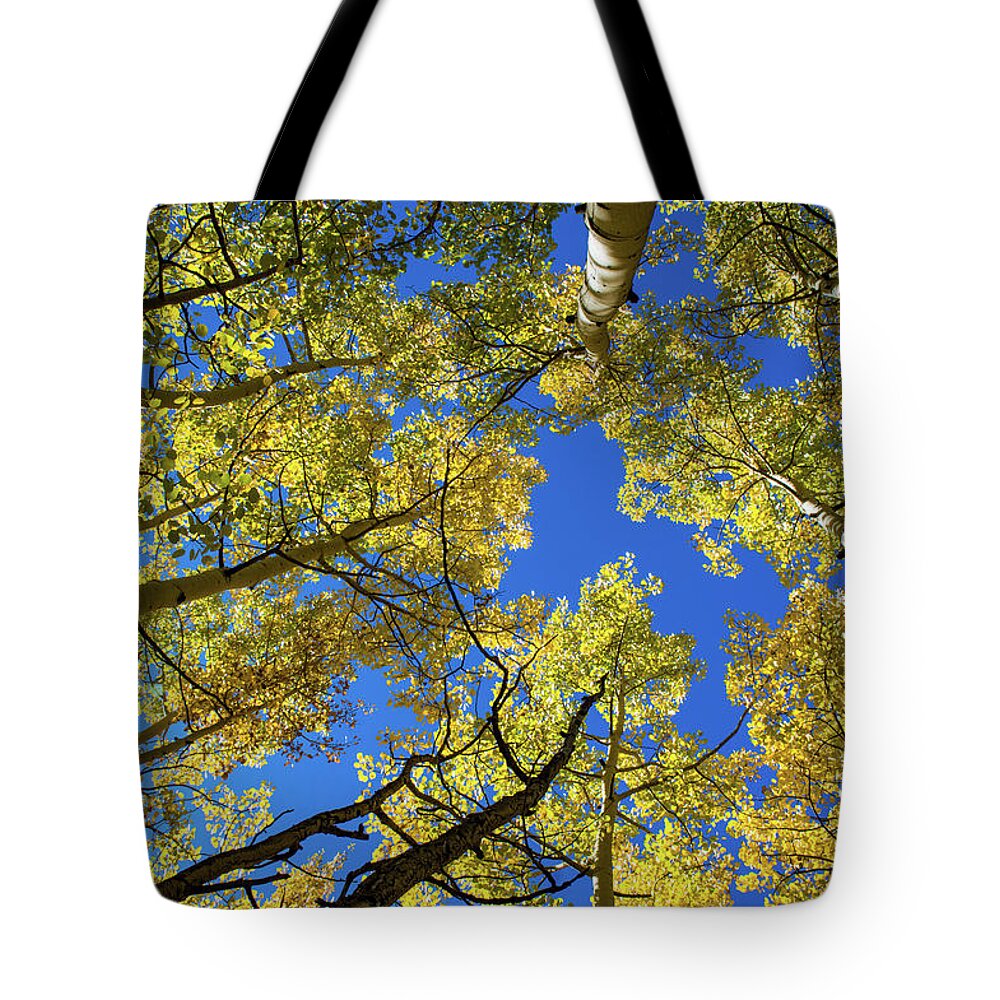 Aspen Tote Bag featuring the photograph Aspen With Sun Burst by Stephen Holst