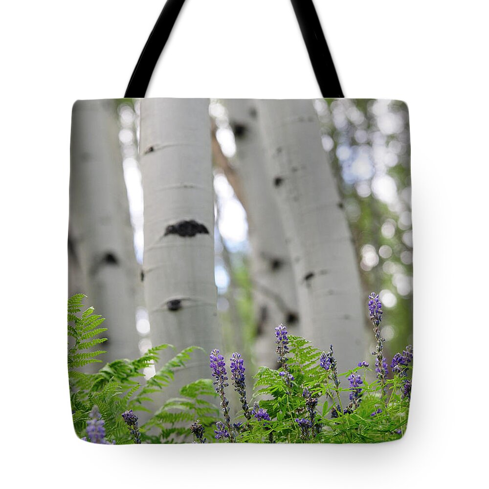 Aspen Tote Bag featuring the digital art Aspens Ferns and Flowers by Constance Woods