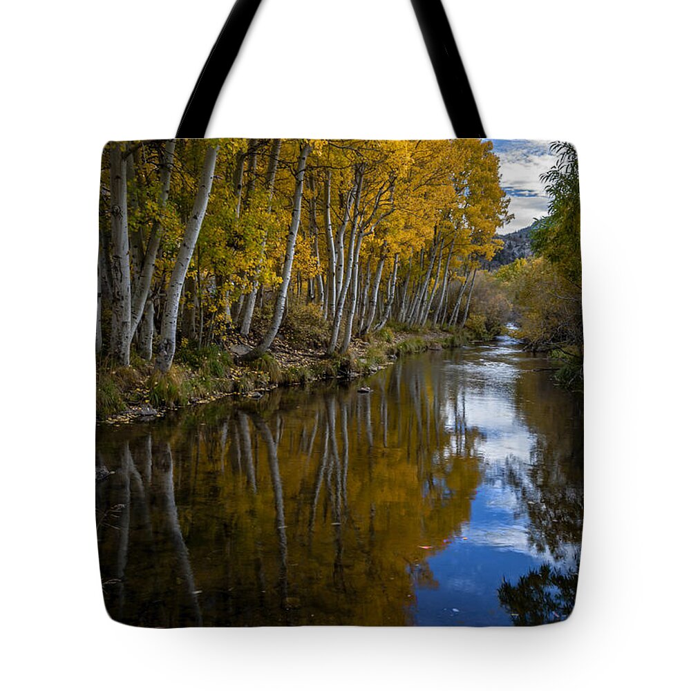Trees Tote Bag featuring the photograph Aspens Reflected by Cat Connor