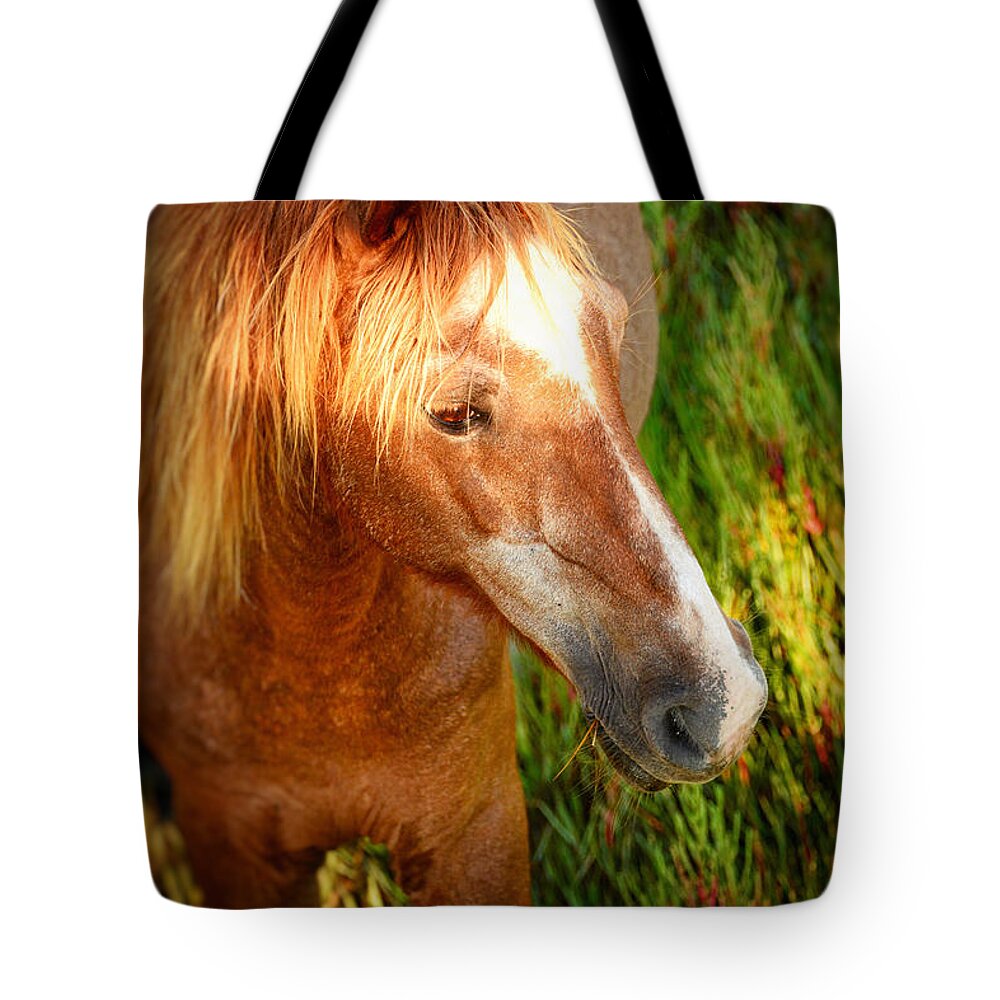 Animal Tote Bag featuring the photograph Assateague Summer II by Kathi Isserman