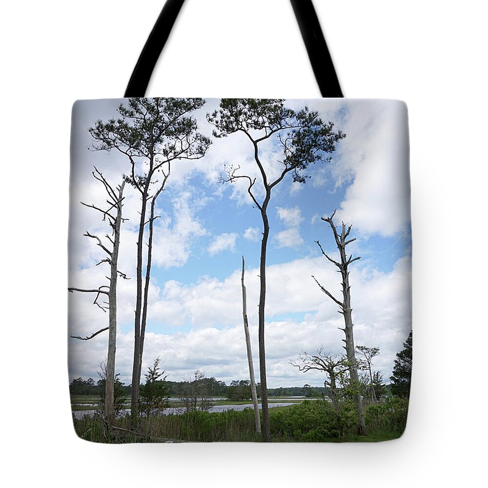 De Tote Bag featuring the photograph Assawoman Wildlife Area #05378 by Raymond Magnani