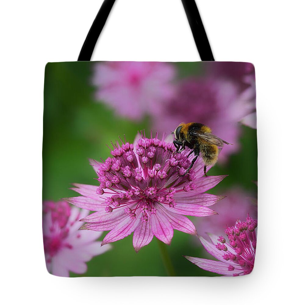 Nature Tote Bag featuring the photograph Pollination by Shirley Mitchell