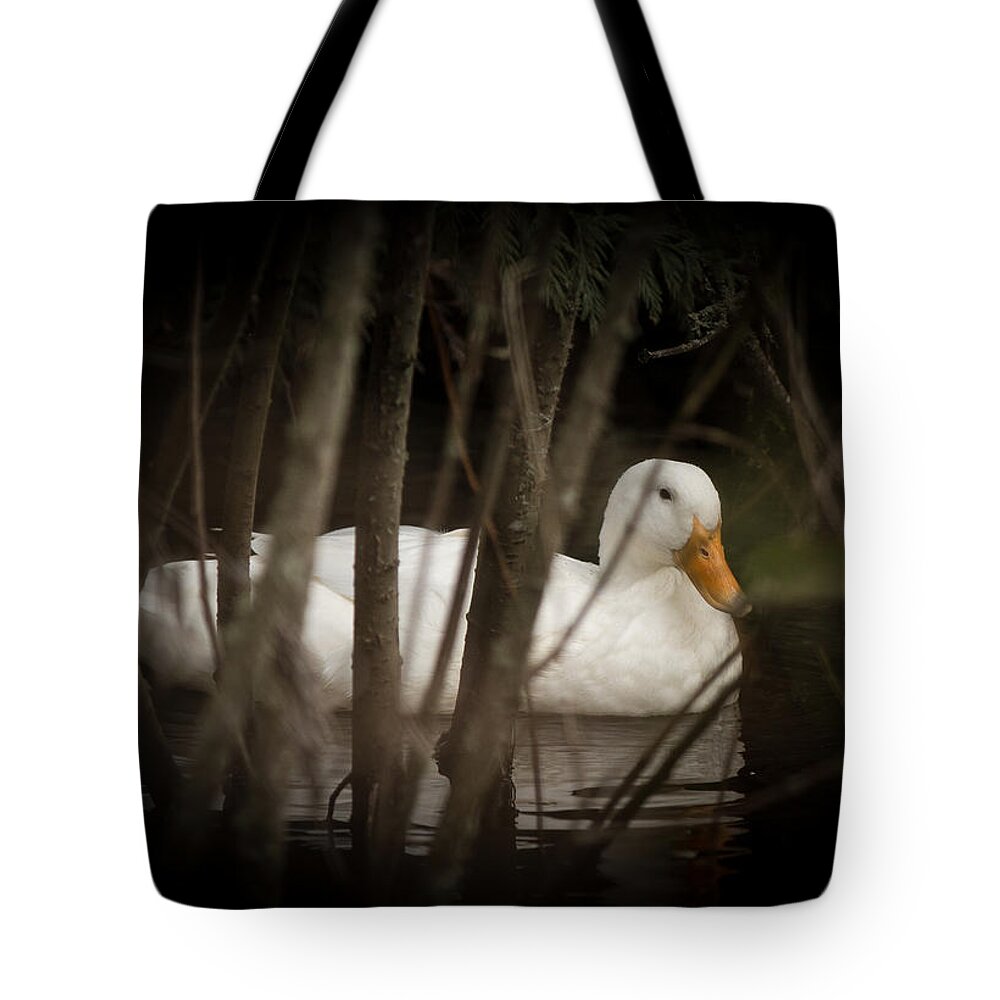 Creek Tote Bag featuring the photograph At Home in the Creek by E Faithe Lester