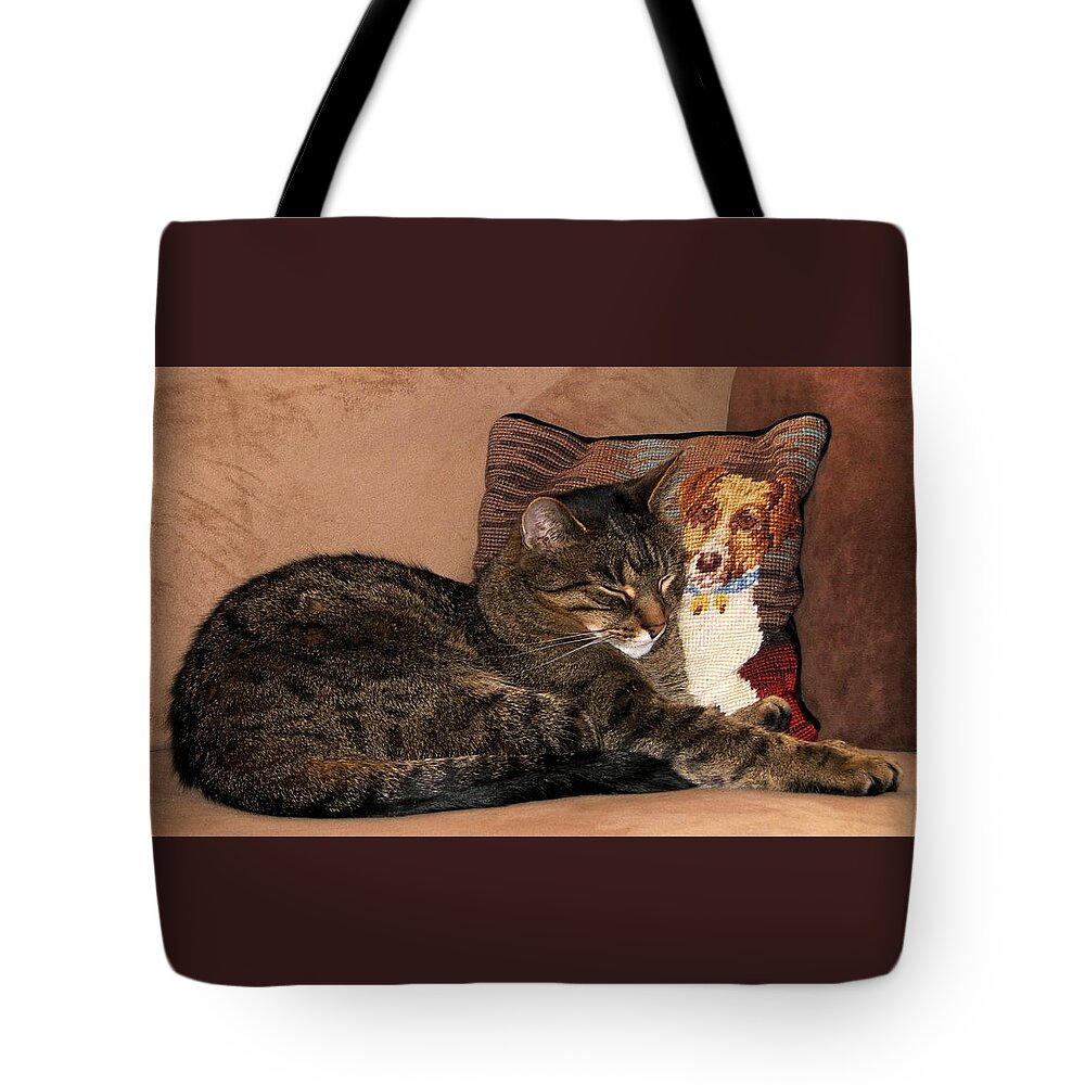 Tabby Cats Tote Bag featuring the photograph At Least One Thing Dogs are Good For by Angela Davies