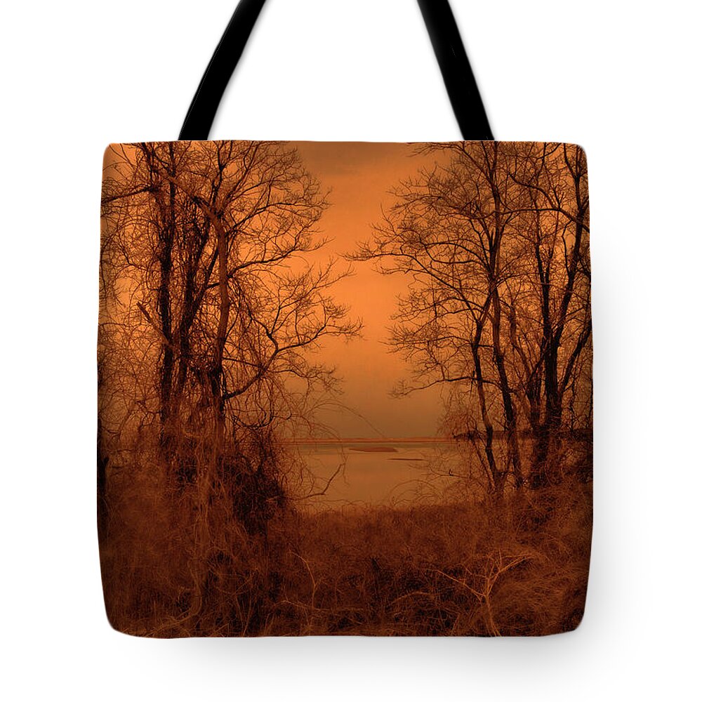 Color Sepia Tote Bag featuring the photograph At The Edge Of The Day by Mary Clough
