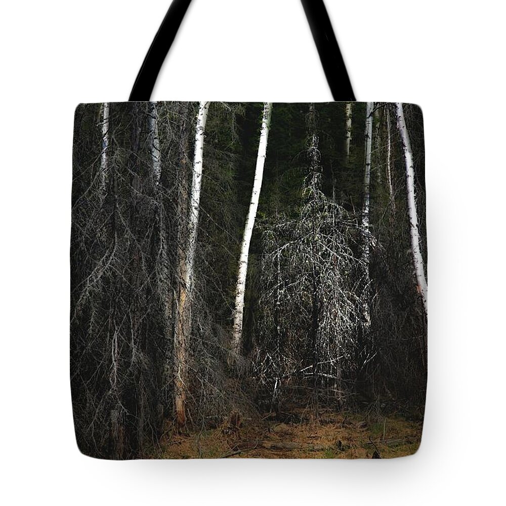 Forest Tote Bag featuring the photograph At the Edge of the Forest by Jim Vance