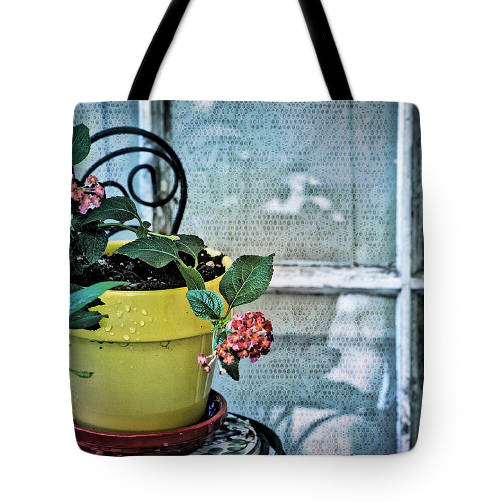 Window Tote Bag featuring the photograph At the Window by Bonnie Bruno