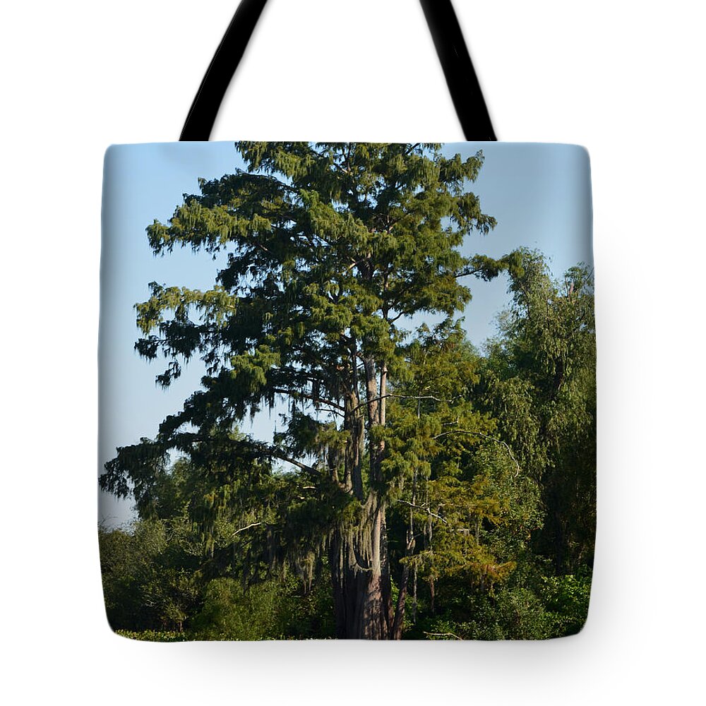 Tree Tote Bag featuring the photograph Atchafalaya Basin 11 Southern Louisiana by Maggy Marsh