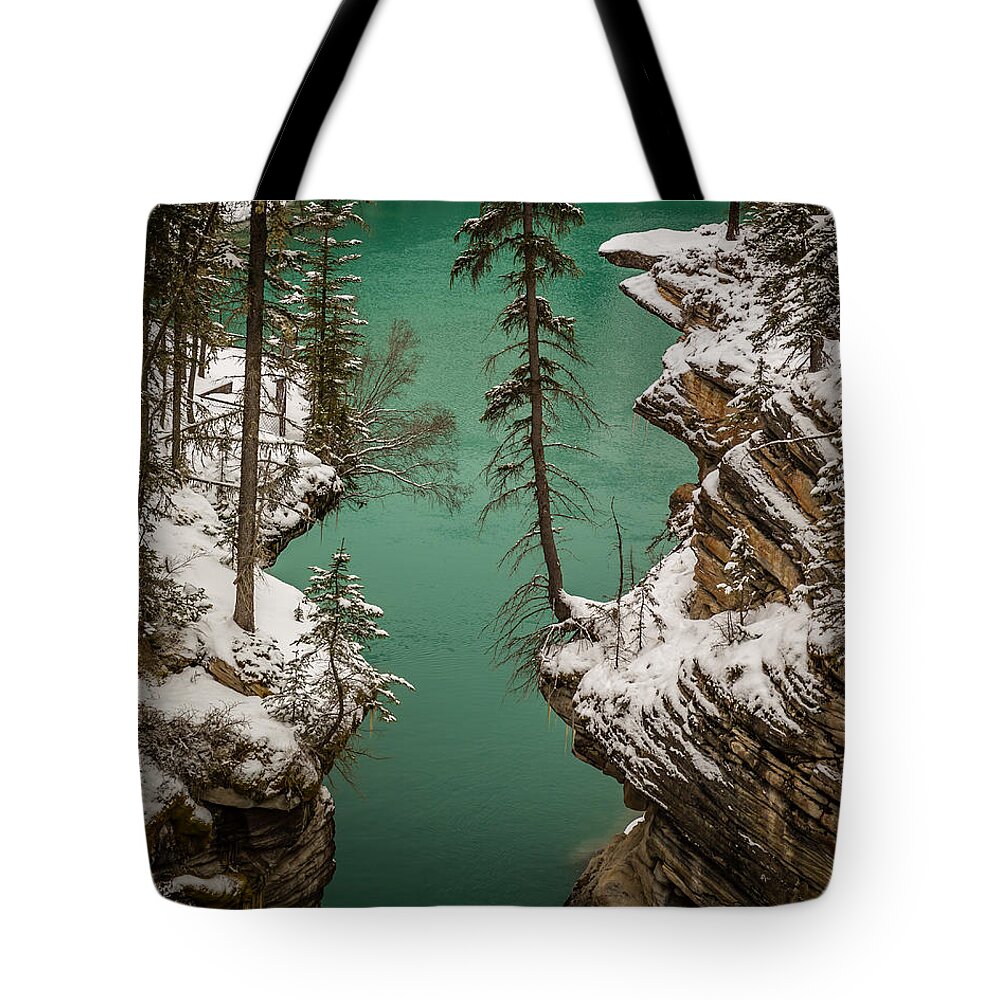 Trees Tote Bag featuring the photograph Athabasca Art by Gary Migues