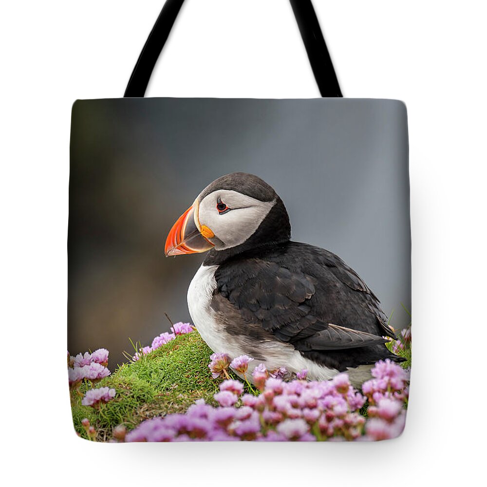Atlantic Puffin Tote Bag featuring the photograph Atlantic puffin by Arterra Picture Library