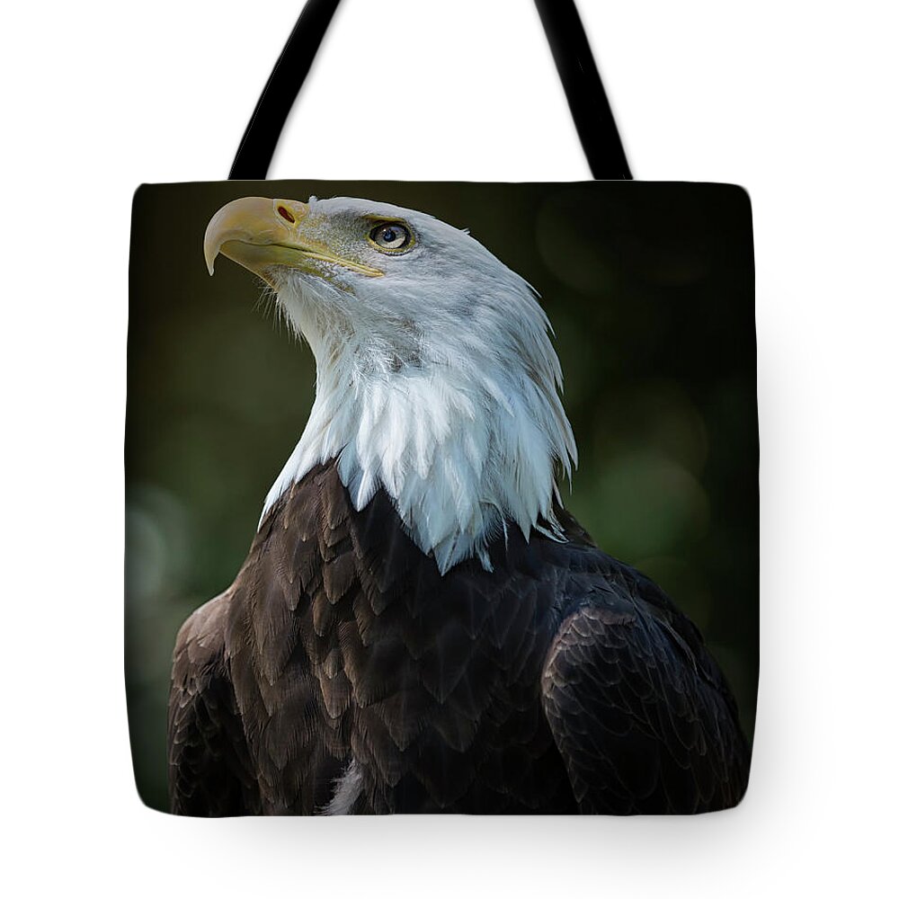 Bald Eagle Tote Bag featuring the photograph Attention by Randy Hall