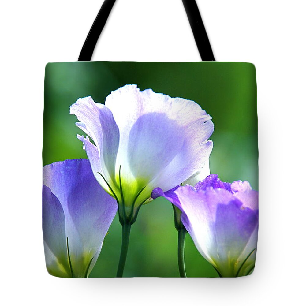Flowers Tote Bag featuring the photograph August Echoes by Byron Varvarigos