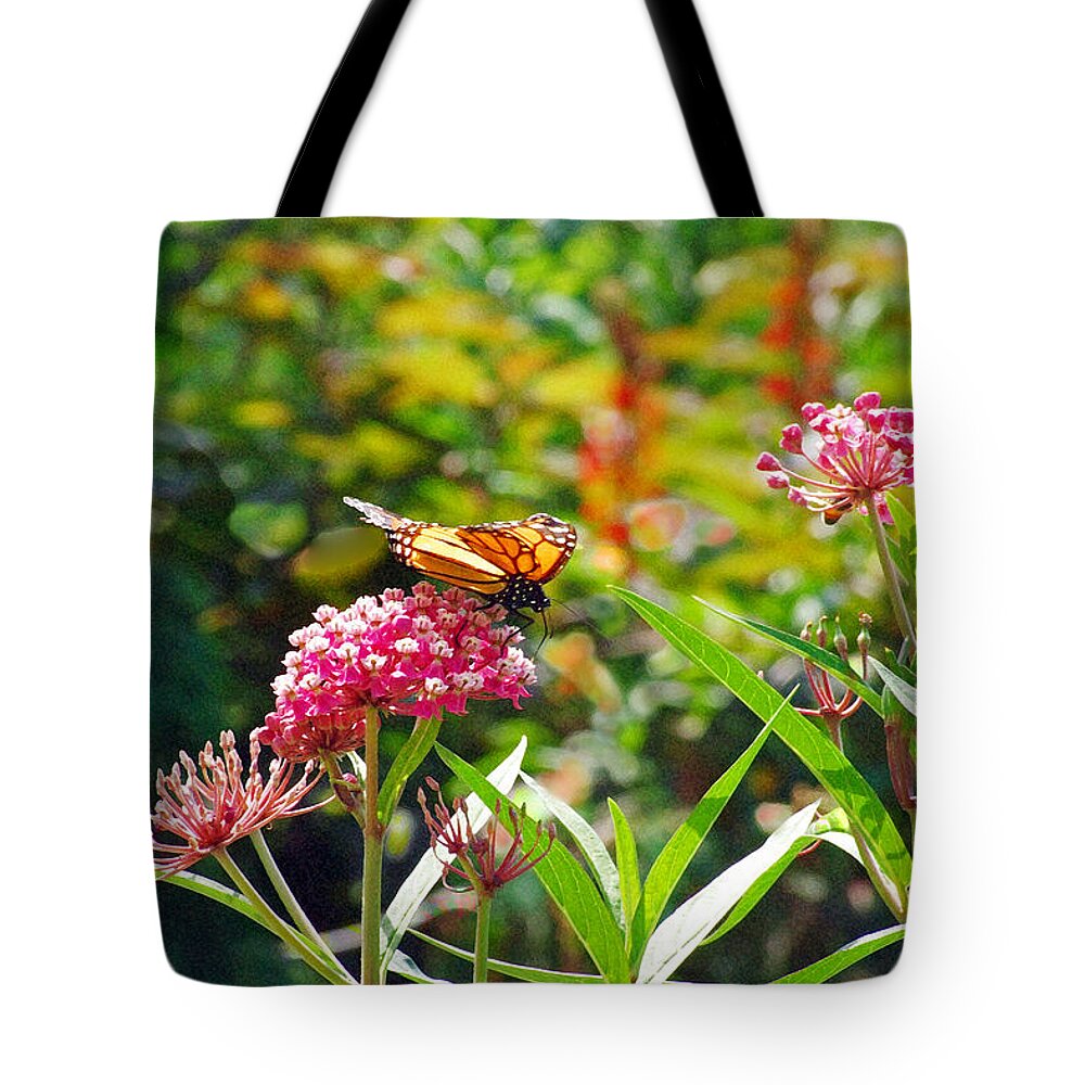 Monarch Butterfly Tote Bag featuring the photograph August Monarch by Janis Senungetuk