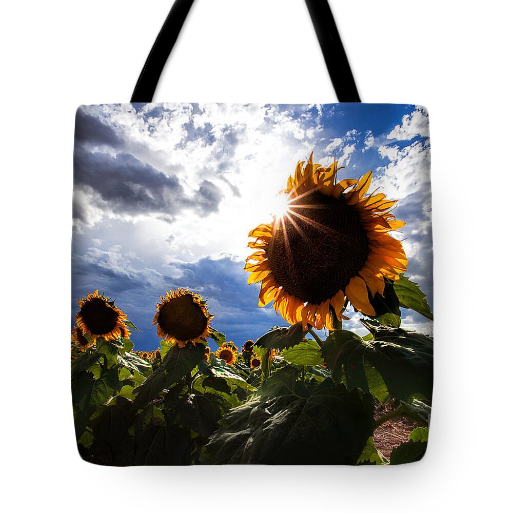 Flowers Tote Bag featuring the photograph August Sky by Jim Garrison