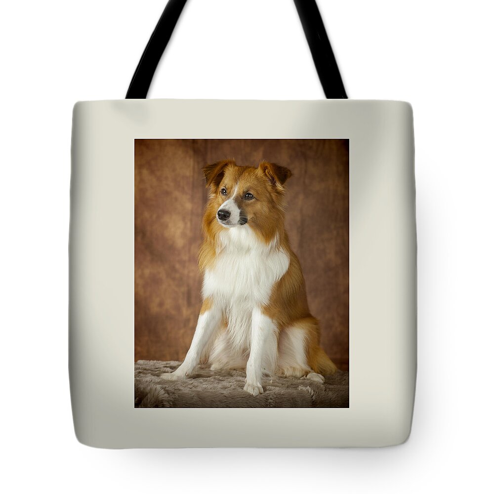 Aussi Tote Bag featuring the photograph Aussi Pose 2 by Keith Lovejoy