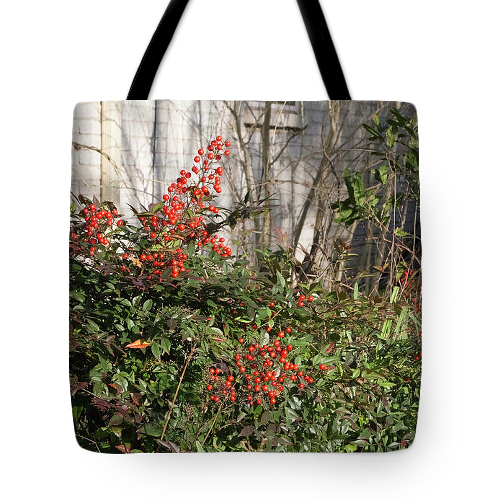 Berries Tote Bag featuring the photograph Austin Winter Berries by Linda Phelps
