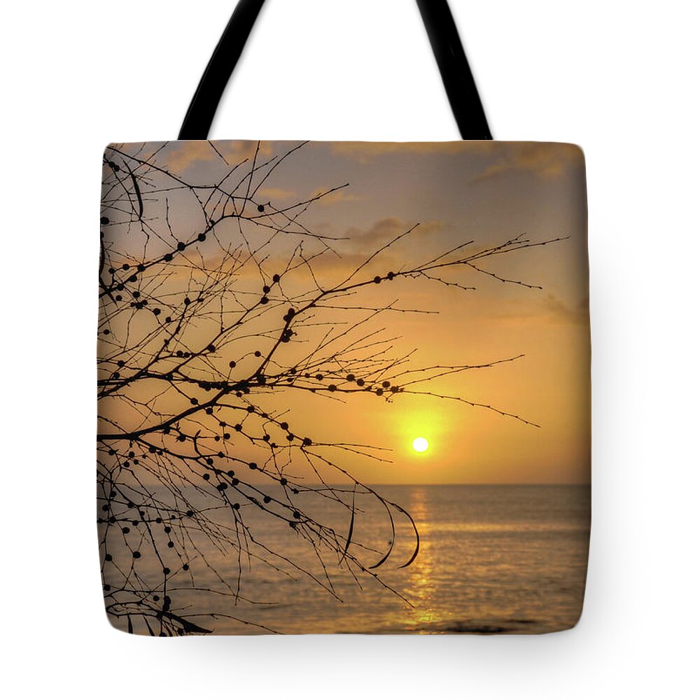 Sunrise Tote Bag featuring the photograph Australian Sunrise by Geraldine Alexander