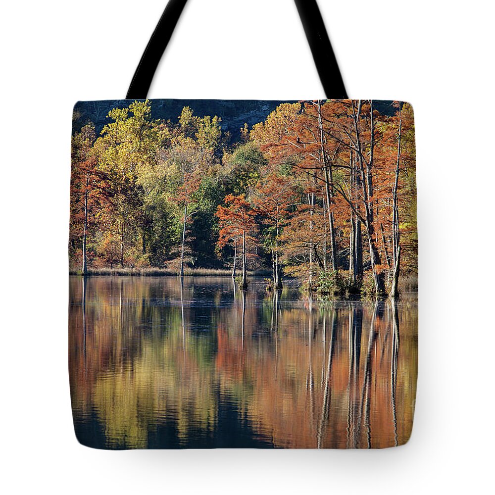 River Tote Bag featuring the photograph Autum at the Fork River by Iris Greenwell
