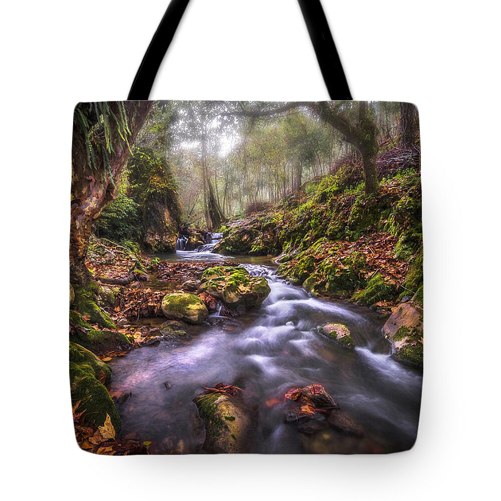 Autum in the Sierra Negra Highlands Tote Bag by Luis Lyons - Fine Art  America
