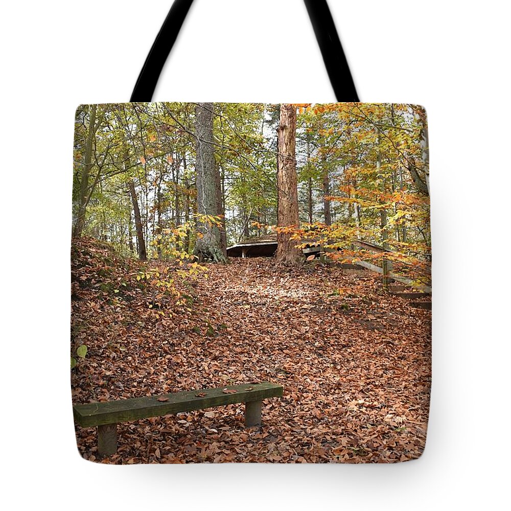Autumn Foliage Art Tote Bag featuring the photograph Autumn 99 by Joyce StJames