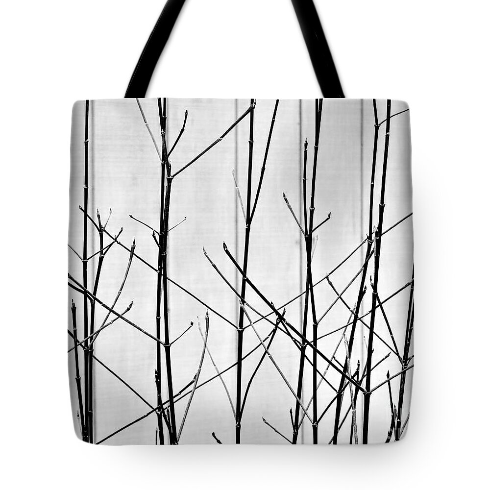 Abstract Tote Bag featuring the digital art Autumn Abstract by Jan Gelders
