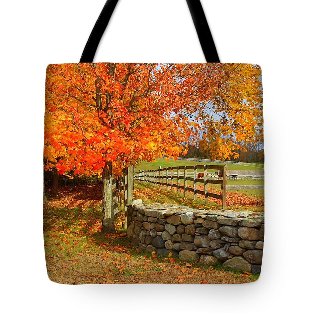 Autumn Tote Bag featuring the photograph Autumn Afternoon by Suzanne DeGeorge