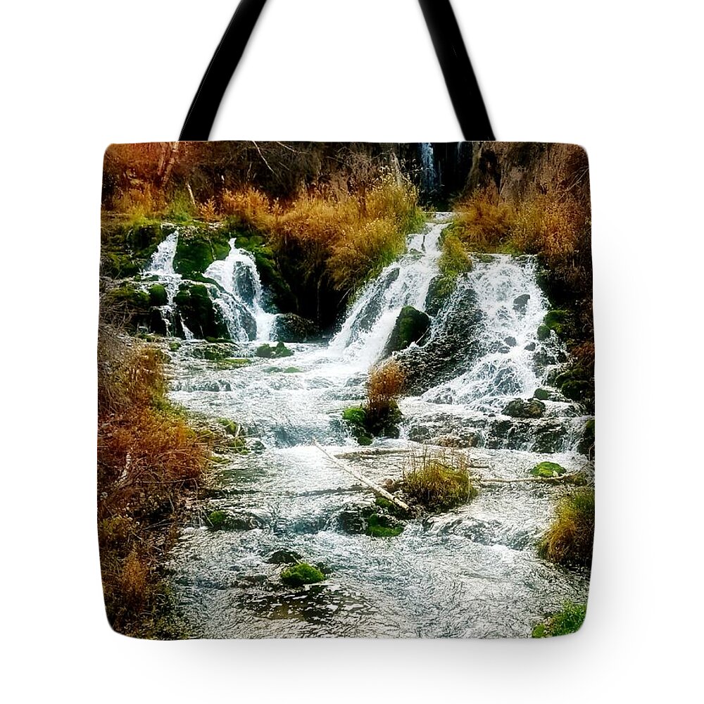 Fall Tote Bag featuring the photograph Autumn at Roughlock Falls by Amanda Smith
