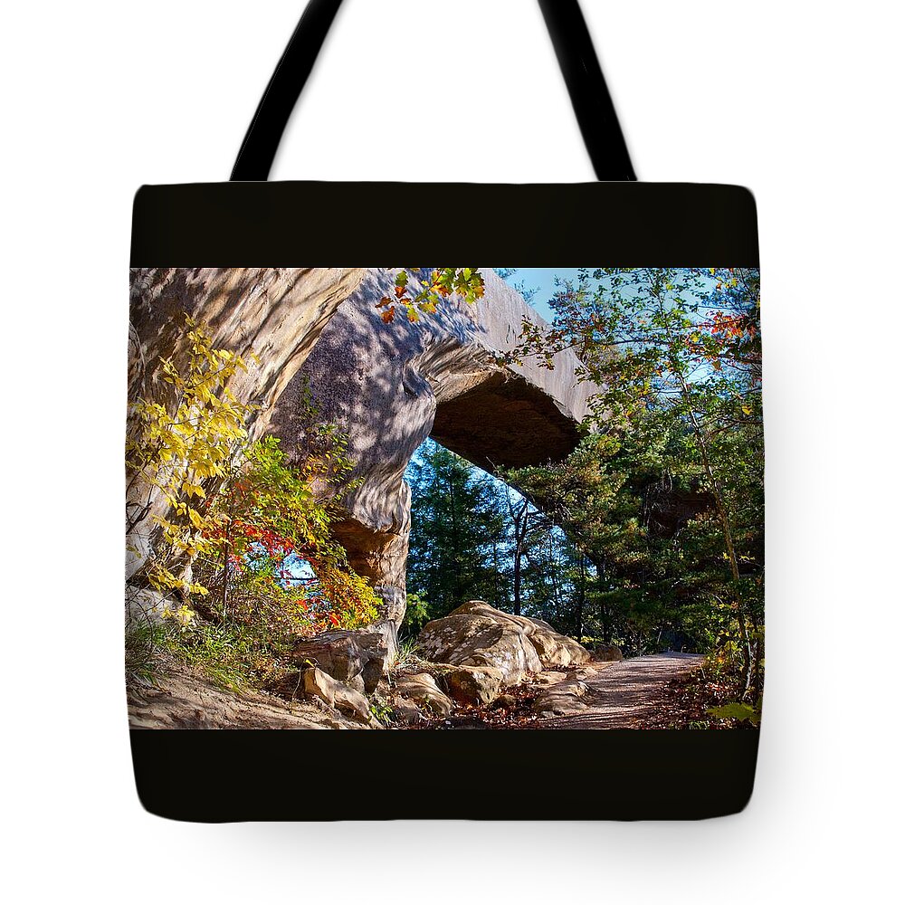 Autumn Tote Bag featuring the photograph Autumn at Sky Bridge by Rebecca Higgins