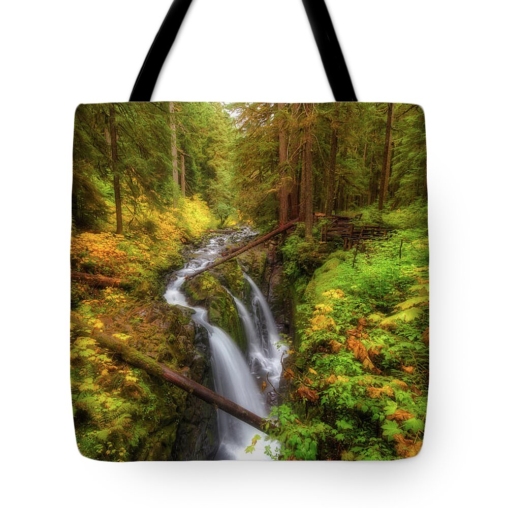 Sol Duc Tote Bag featuring the photograph Autumn at Sol Duc by Judi Kubes