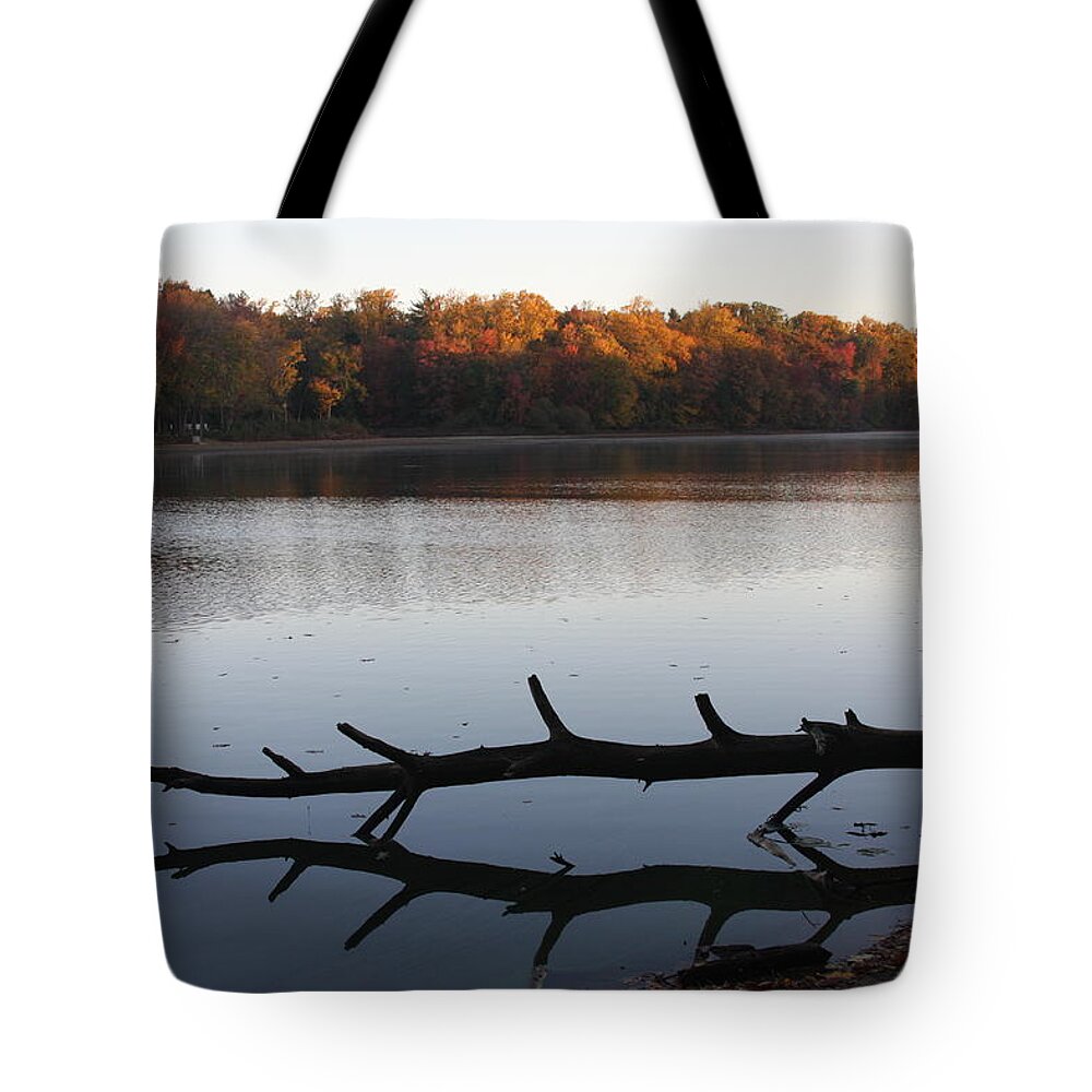 Foliage Tote Bag featuring the photograph Autumn at the Lake by Vadim Levin