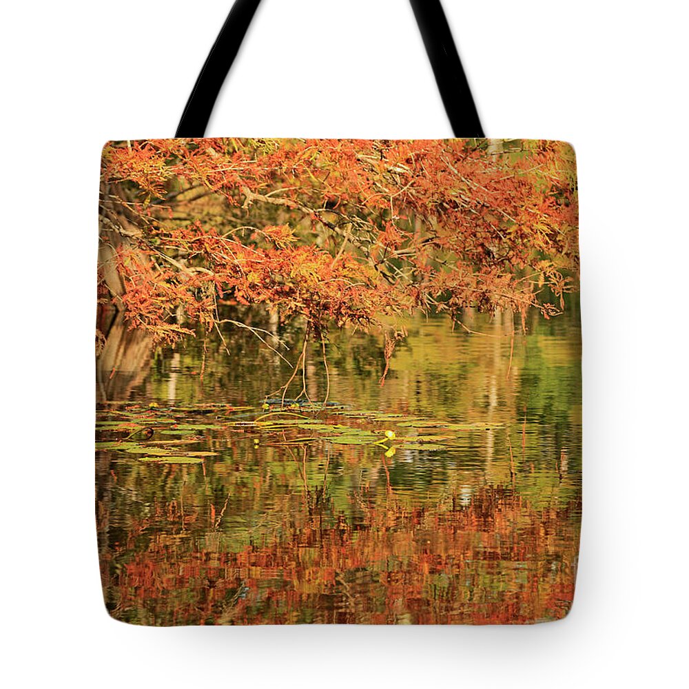 Autumn Trees Tote Bag featuring the photograph Autumn Bayou Louisiana by Luana K Perez