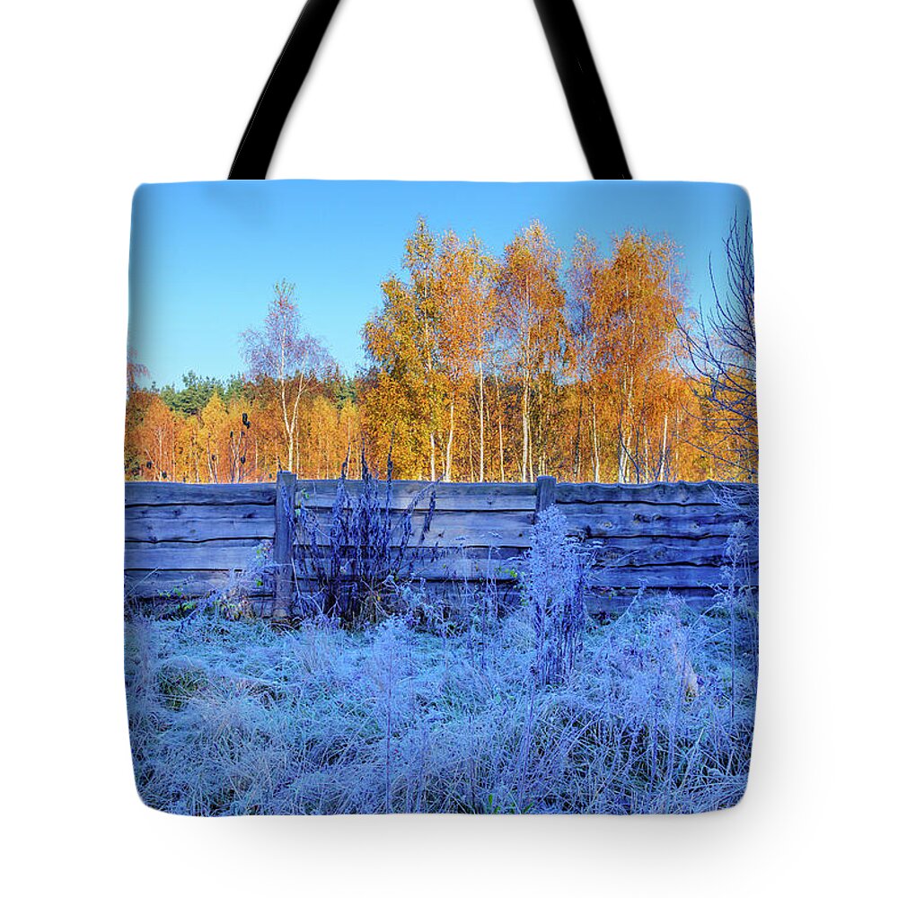 Yellow Tote Bag featuring the photograph Autumn Behind by Dmytro Korol
