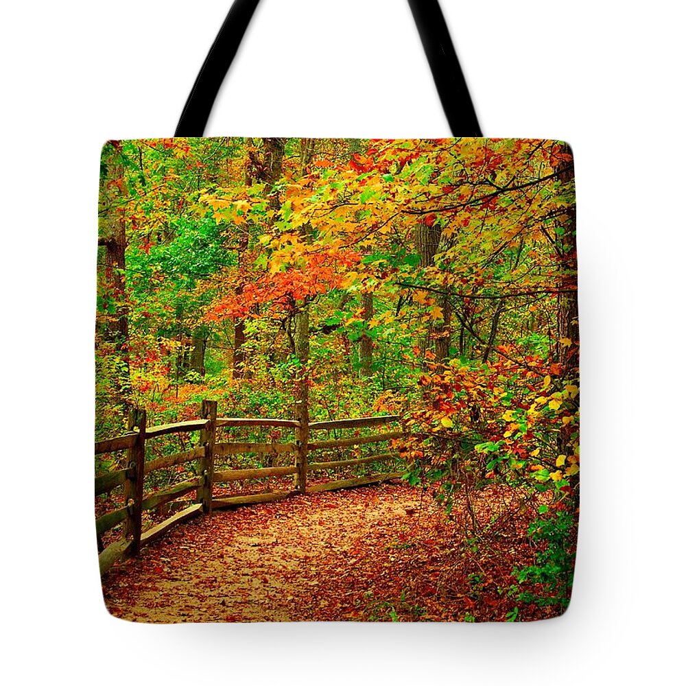 Autumn Landscapes Tote Bag featuring the photograph Autumn Bend - Allaire State Park by Angie Tirado