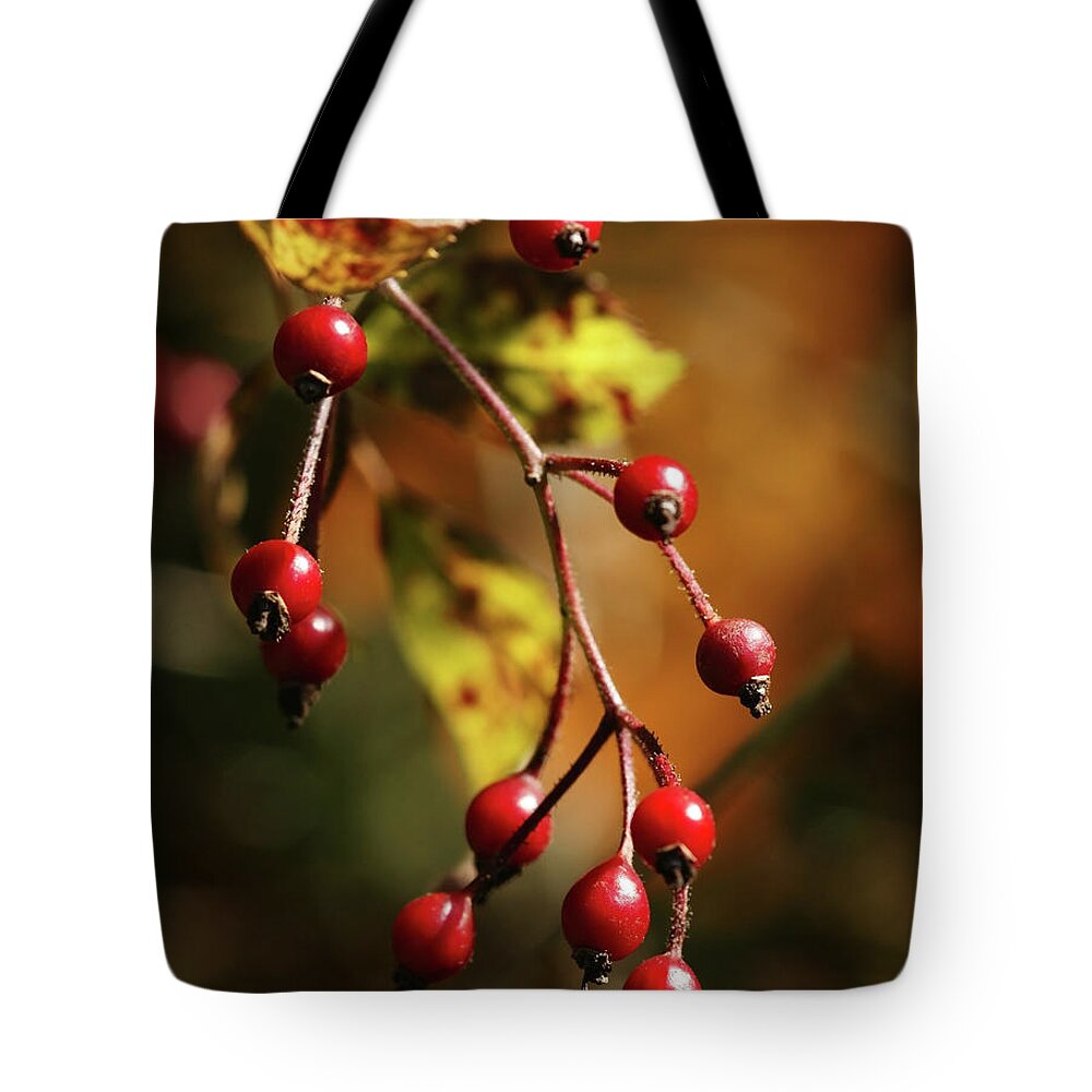 Berries Tote Bag featuring the photograph Autumn Berries by Linda Shafer