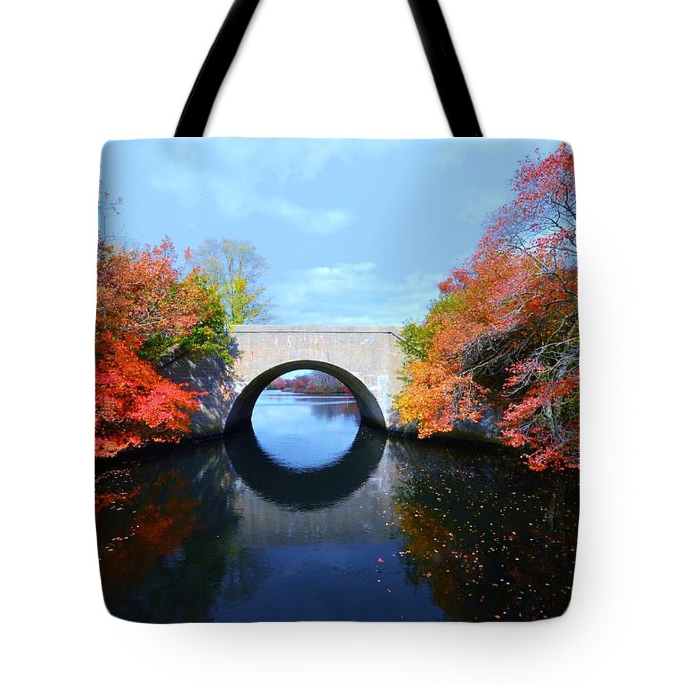 Wertheim National Park Tote Bag featuring the photograph Autumn Bridge by Stacie Siemsen