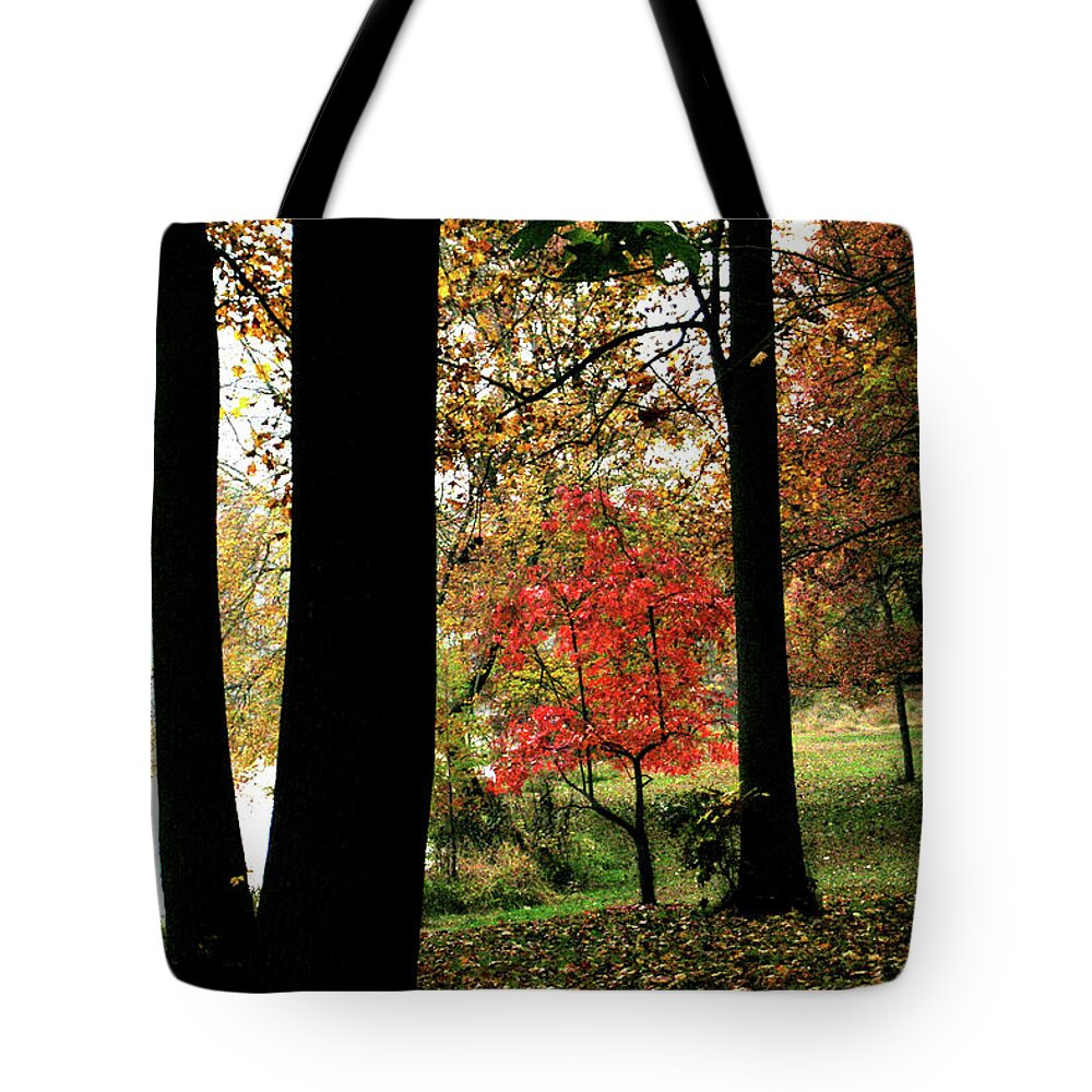 Woods Tote Bag featuring the photograph Autumn by the Lake by Douglas Barnett