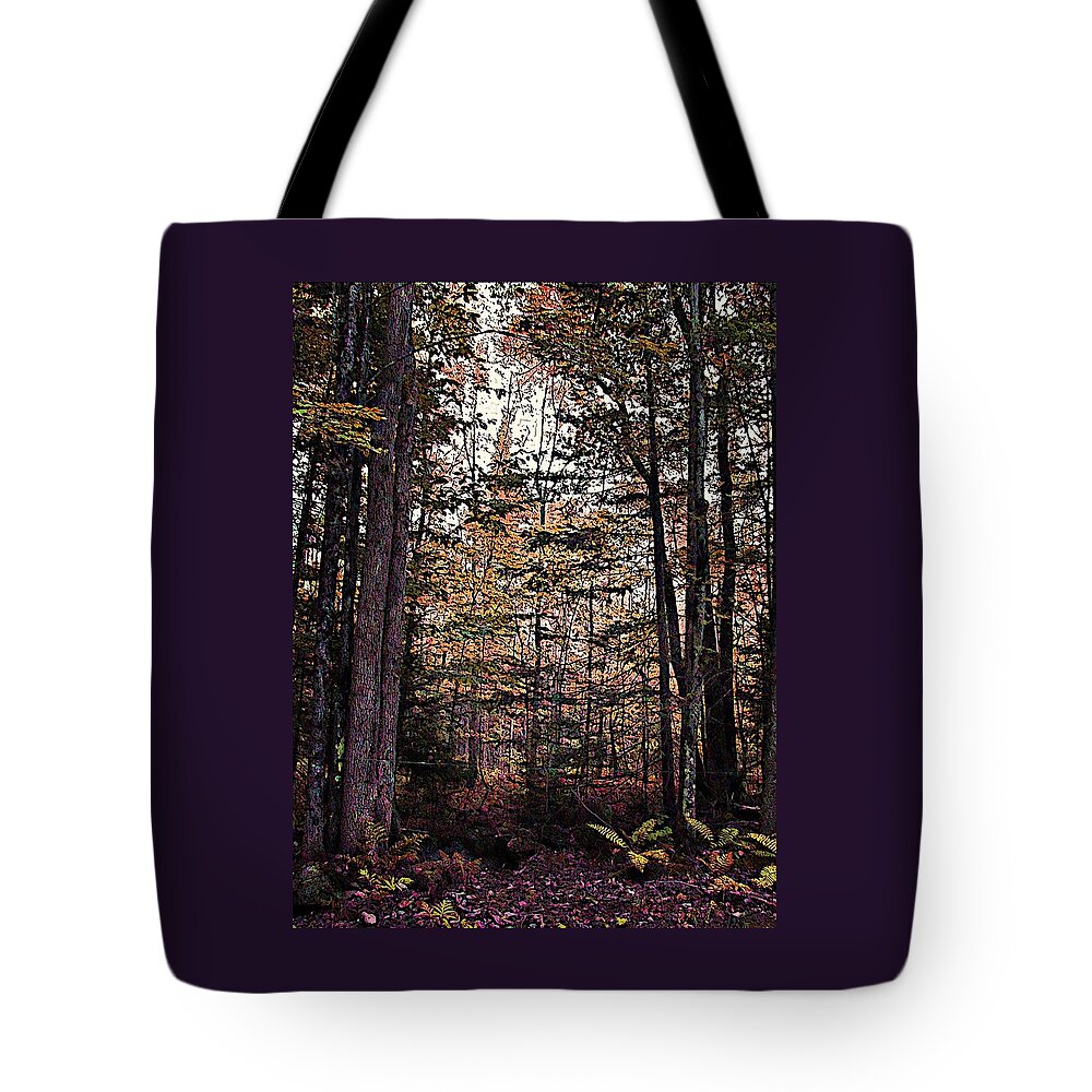 Autumn Color In The Woods Tote Bag featuring the photograph Autumn Color In The Woods by Joy Nichols